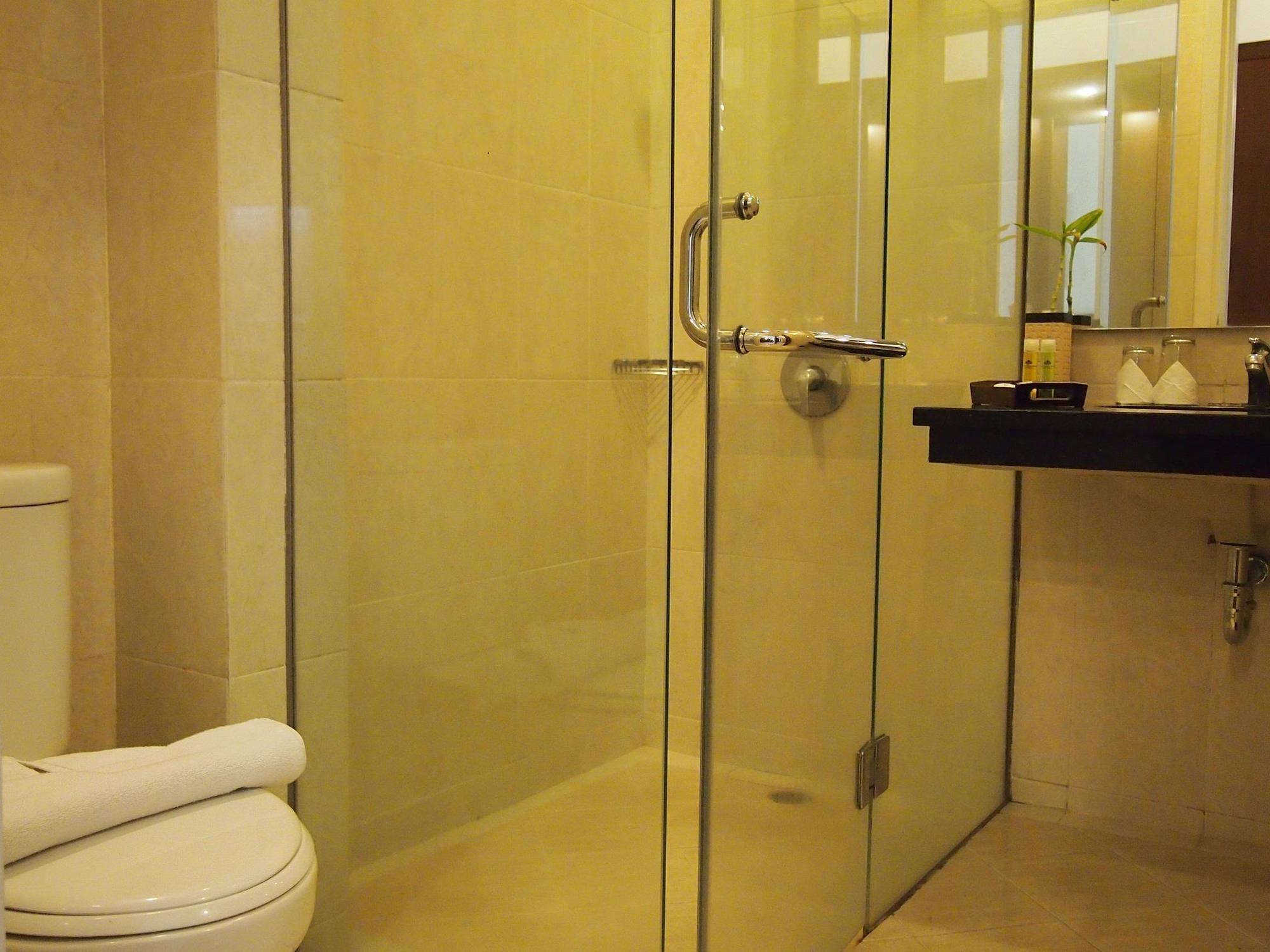 The Victoria Yogyakarta 3*